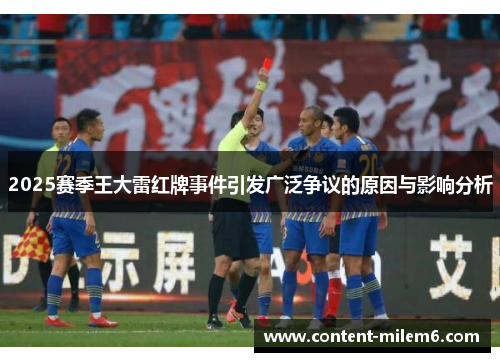 2025赛季王大雷红牌事件引发广泛争议的原因与影响分析