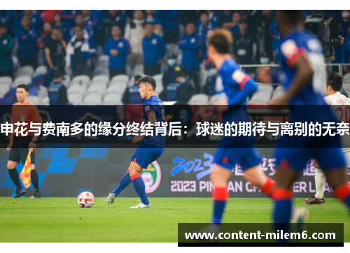 申花与费南多的缘分终结背后：球迷的期待与离别的无奈