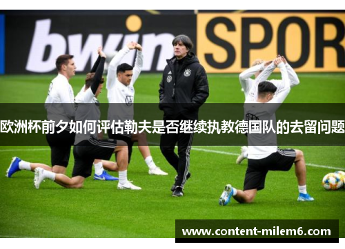 欧洲杯前夕如何评估勒夫是否继续执教德国队的去留问题