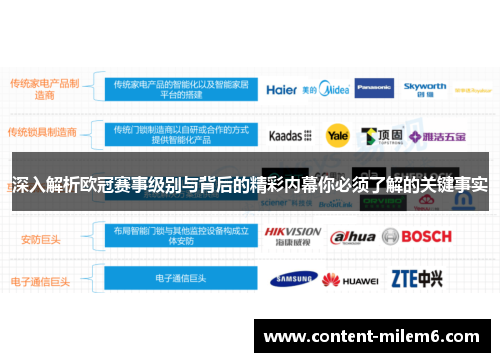 深入解析欧冠赛事级别与背后的精彩内幕你必须了解的关键事实